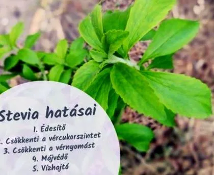 пачка
