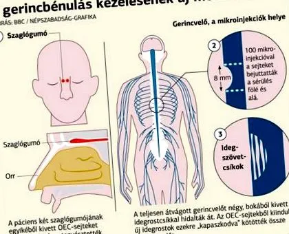 истинско истинско
