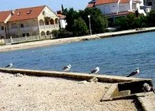 остров пътеводител