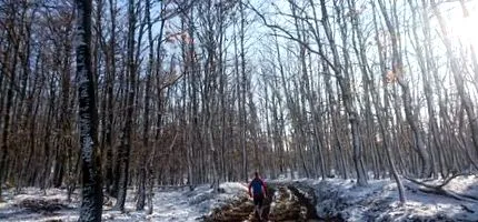 презареждането състезание
