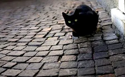 които неща