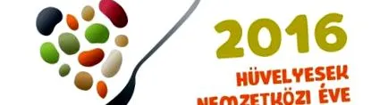 международната международната