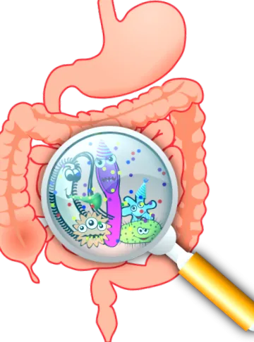 helicobacter pylori