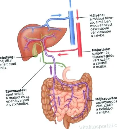 modificările