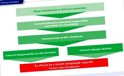 харчування харчування