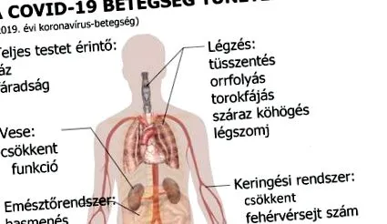 симптоми хелминтоза