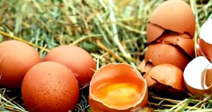 горещината ужасът