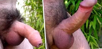 хапчета ерекция