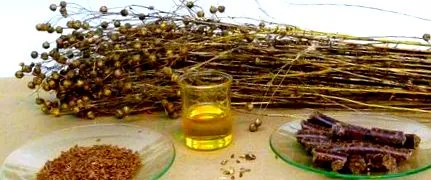 център вандерлих