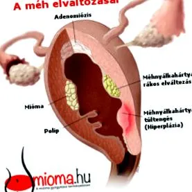 срещаните