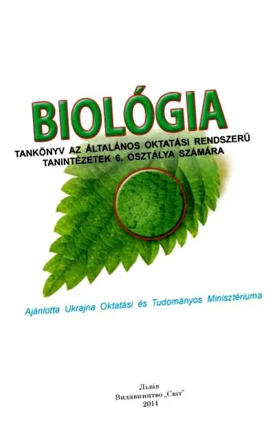 bolilor