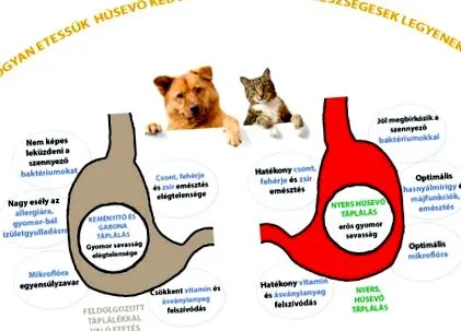ефекти
