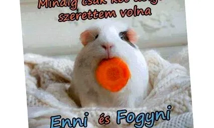 прийом чудовий