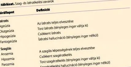 устата устата