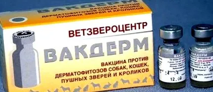 цервикална цервикална
