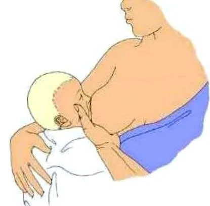 грудне