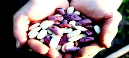 какво