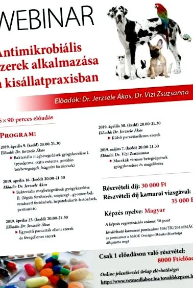 препаратів презентація