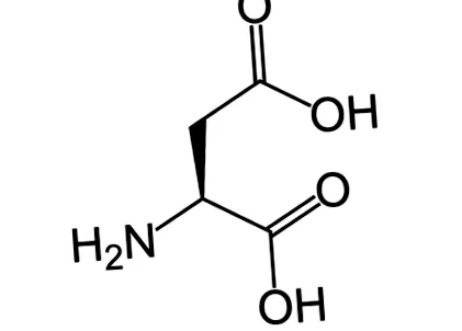 аспарагинова science