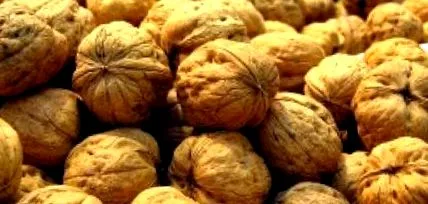 grăsimi