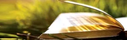 книга книга