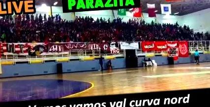 sulfat paraziți