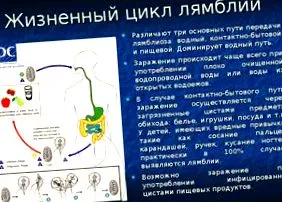 плодове