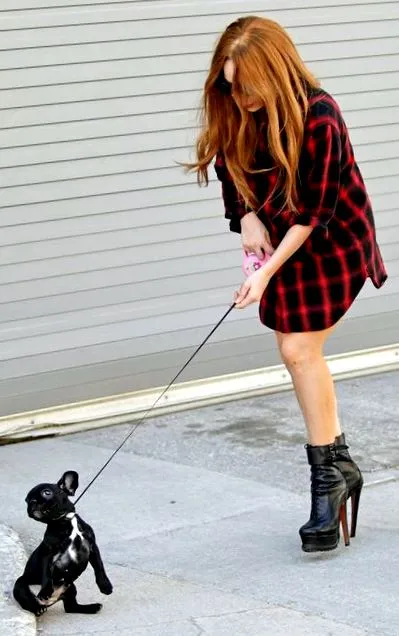 gaga plimbare