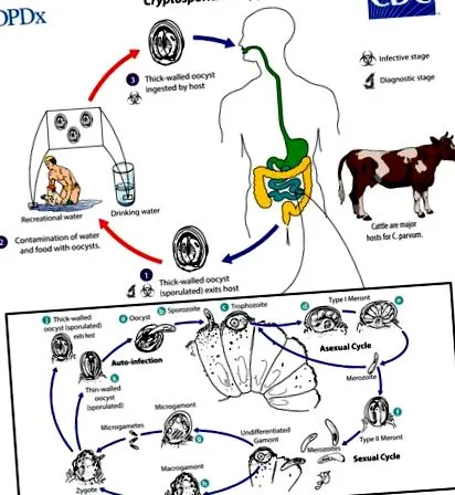 паразити насоки giardia