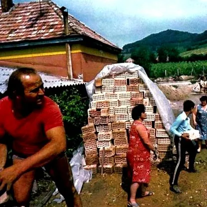 сімейного будинку