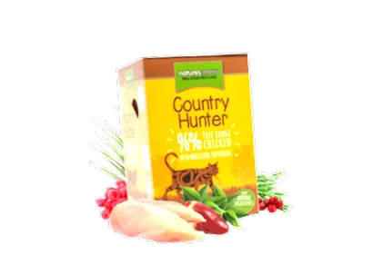 country котячий