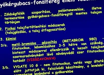 жълтурчета зрението