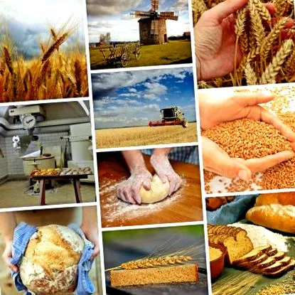 зърнени култури диети