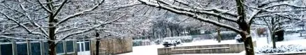 бланка телеки