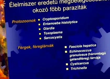 глисти глисти