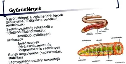 таблетки