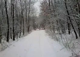 годор февруари