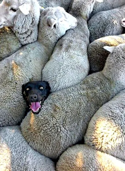 излезем ситуация