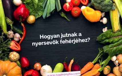 протеини протеини