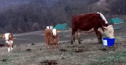утримання утримання