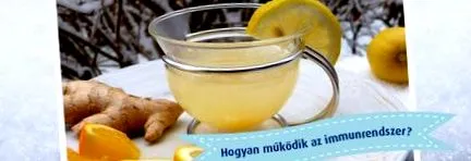 кръвни клетки система