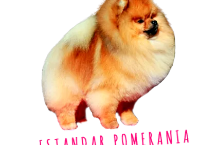 pomerániai