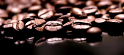 koffein