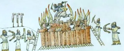 наука народилося