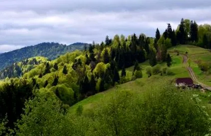 закарпатие