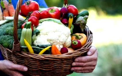 балансирана вегетарианска