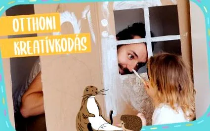 activități activități