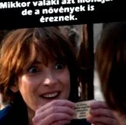 рослини рослини