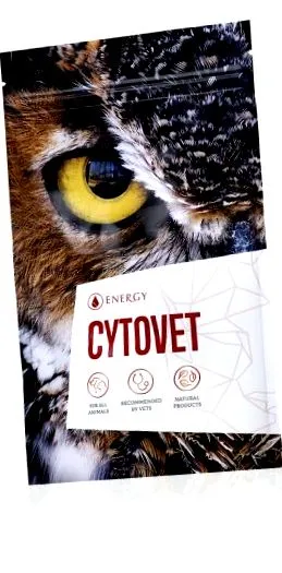 причини причини