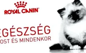 списание списание